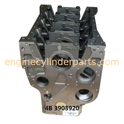 Cummins 4B Diesel Engine Cylinder Block OEM 3903920